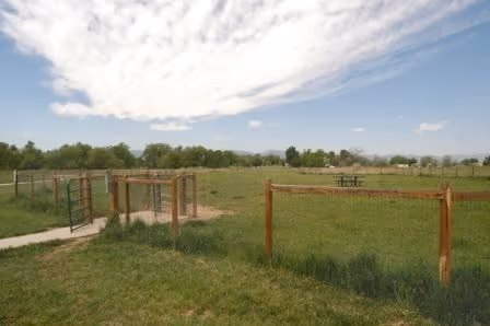 Soft Gold Dog Park photo 2